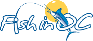 Logo for Fish in OC used for Hooked on OC's website